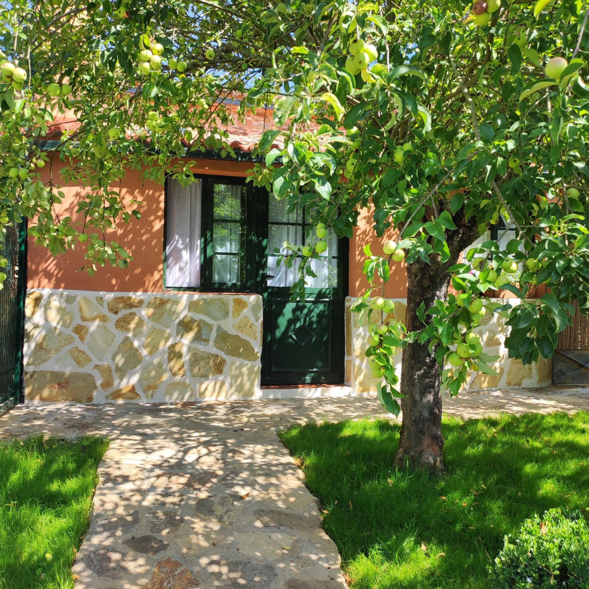 Apartamento Casa Dos Cregos Bascuas Exterior foto